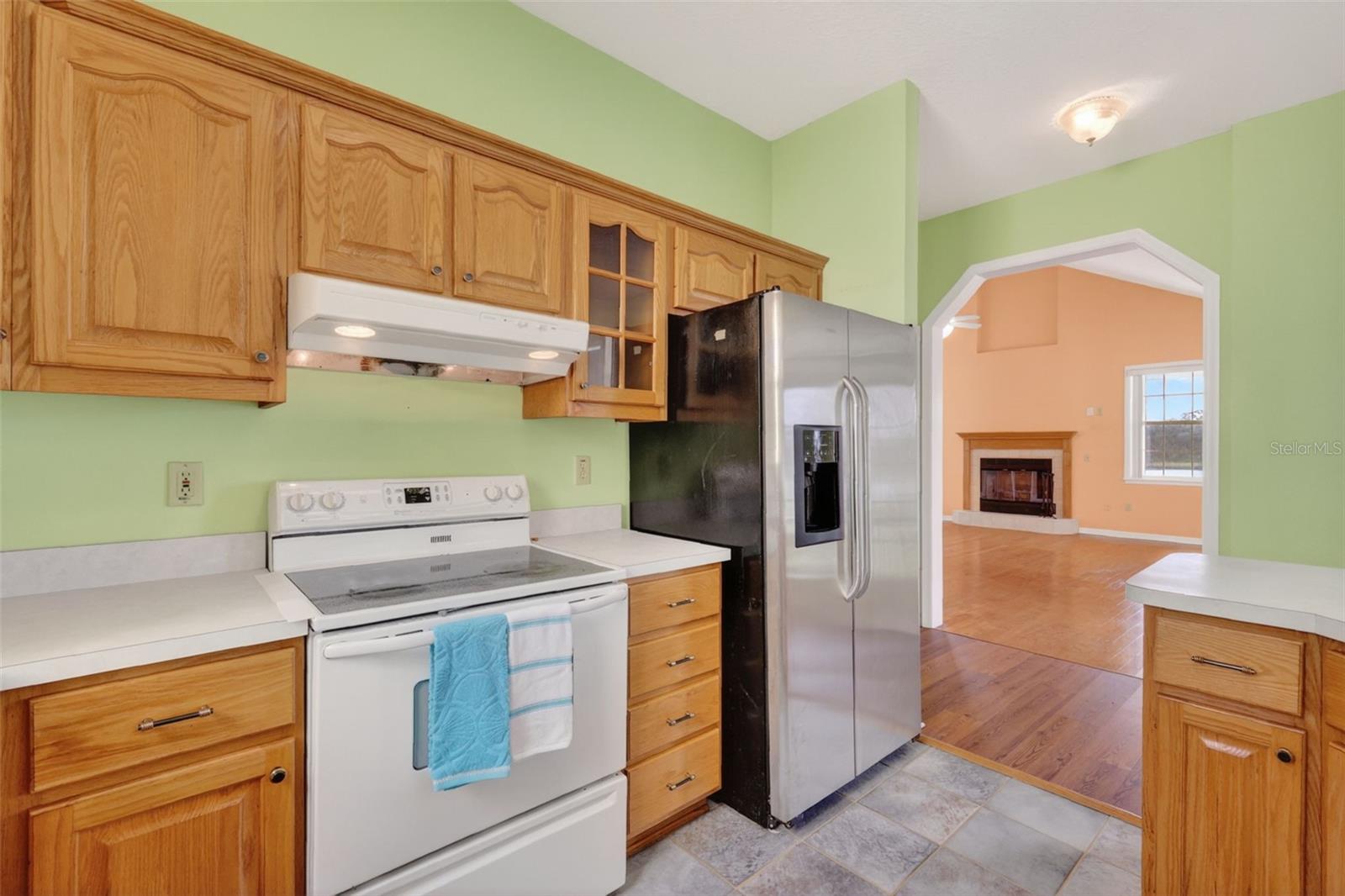 493 MALAUKA LOOP, OCKLAWAHA, FL, 32179