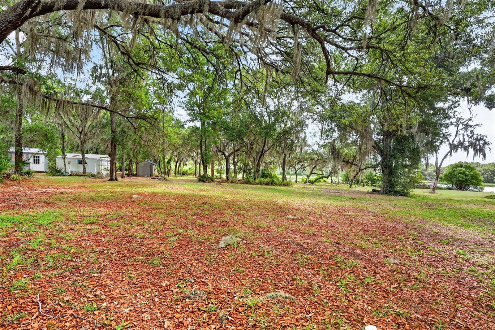 493 MALAUKA LOOP, OCKLAWAHA, FL, 32179