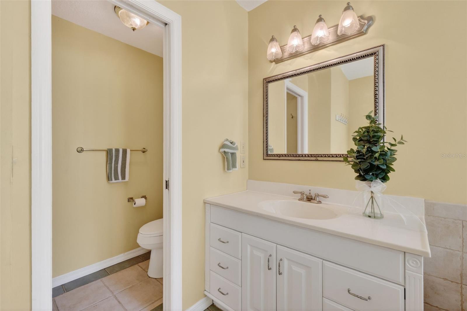 493 MALAUKA LOOP, OCKLAWAHA, FL, 32179