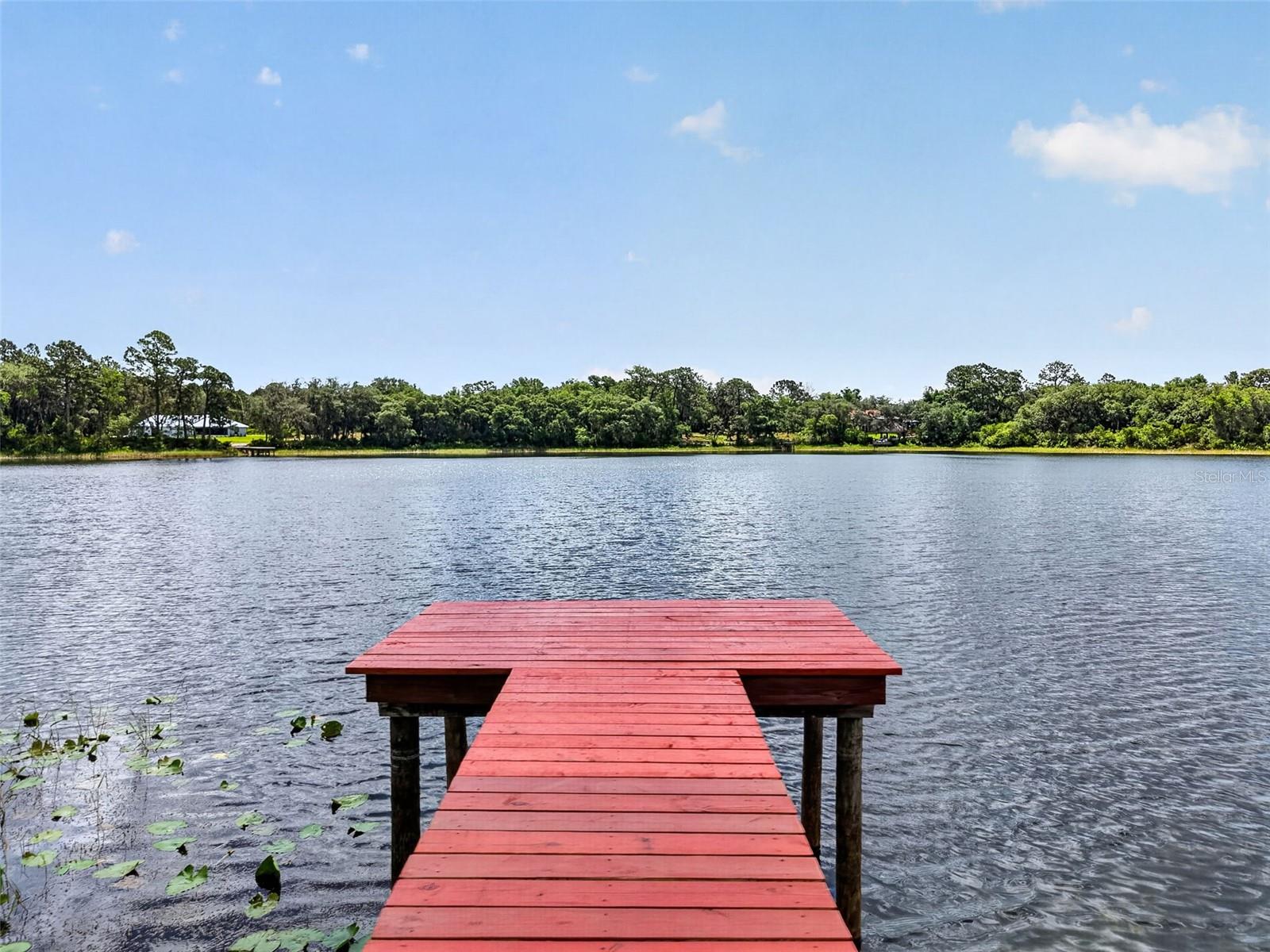 493 MALAUKA LOOP, OCKLAWAHA, FL, 32179