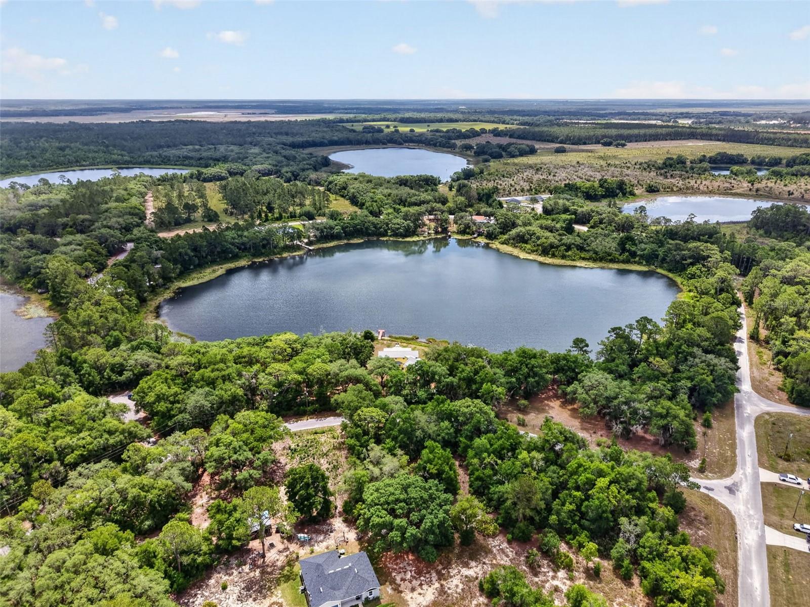 493 MALAUKA LOOP, OCKLAWAHA, FL, 32179
