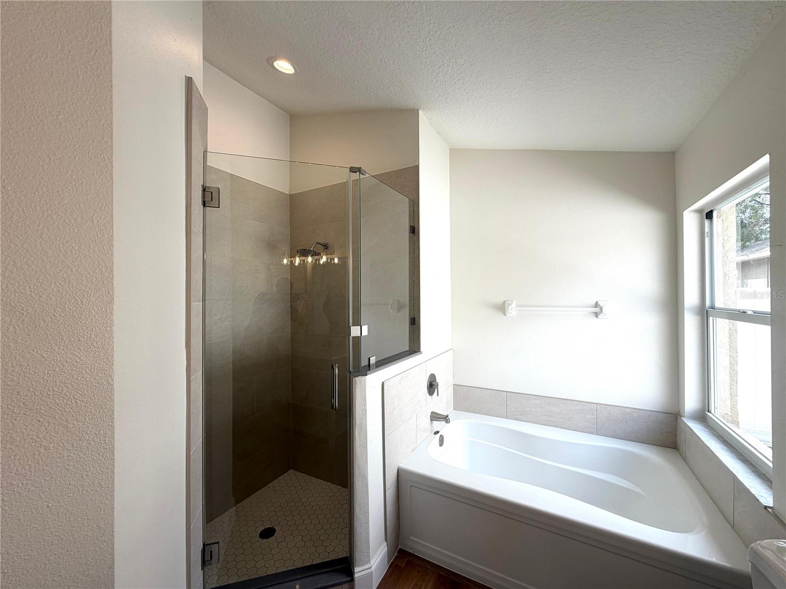 29430 SEA DAHLIA PASS, WESLEY CHAPEL, FL, 33543