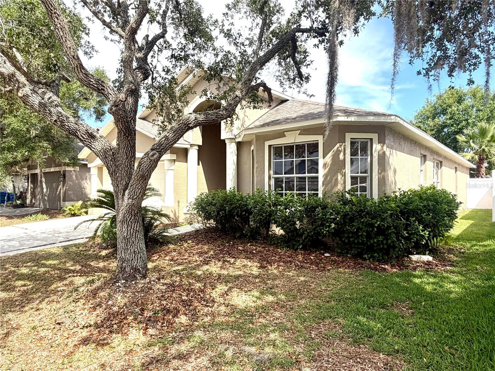 29430 SEA DAHLIA PASS, WESLEY CHAPEL, FL, 33543