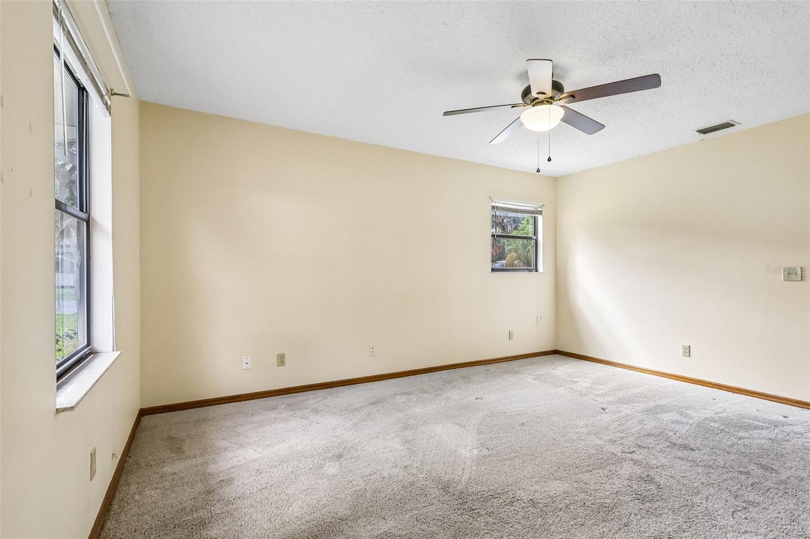 931 CR 457A, LAKE PANASOFFKEE, FL, 33538