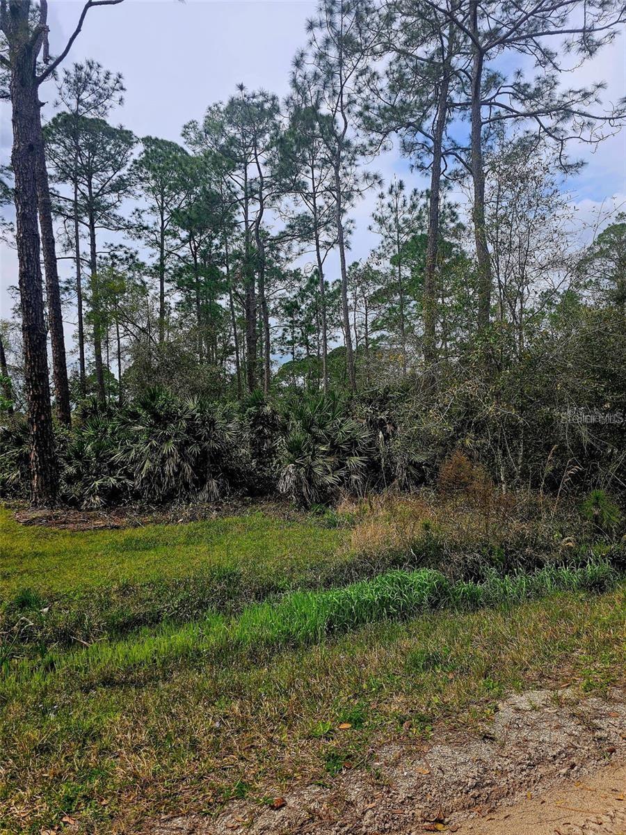 EAST PKWY, DELAND, FL, 32724