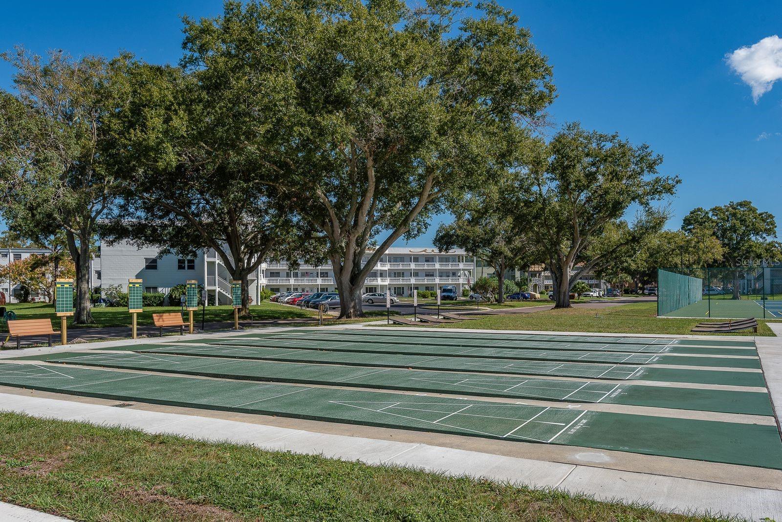 2451 CANADIAN WAY #31, CLEARWATER, FL, 33763