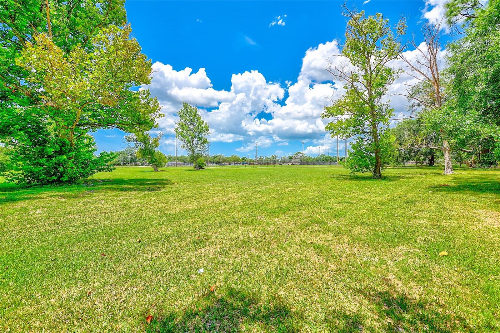 2064 SUNSET POINT RD #73, CLEARWATER, FL, 33765