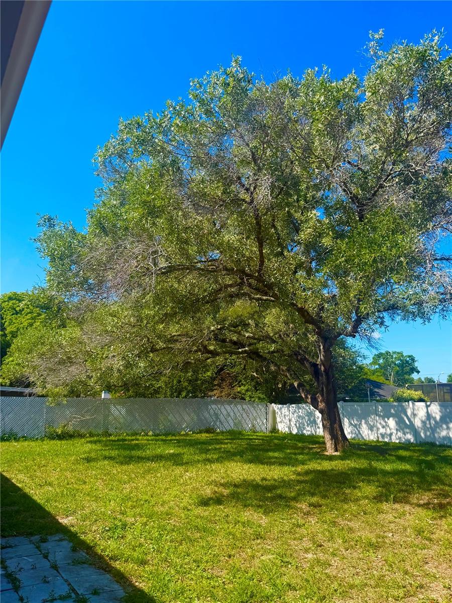 1215 GATEWOOD AVE, SPRING HILL, FL, 34608