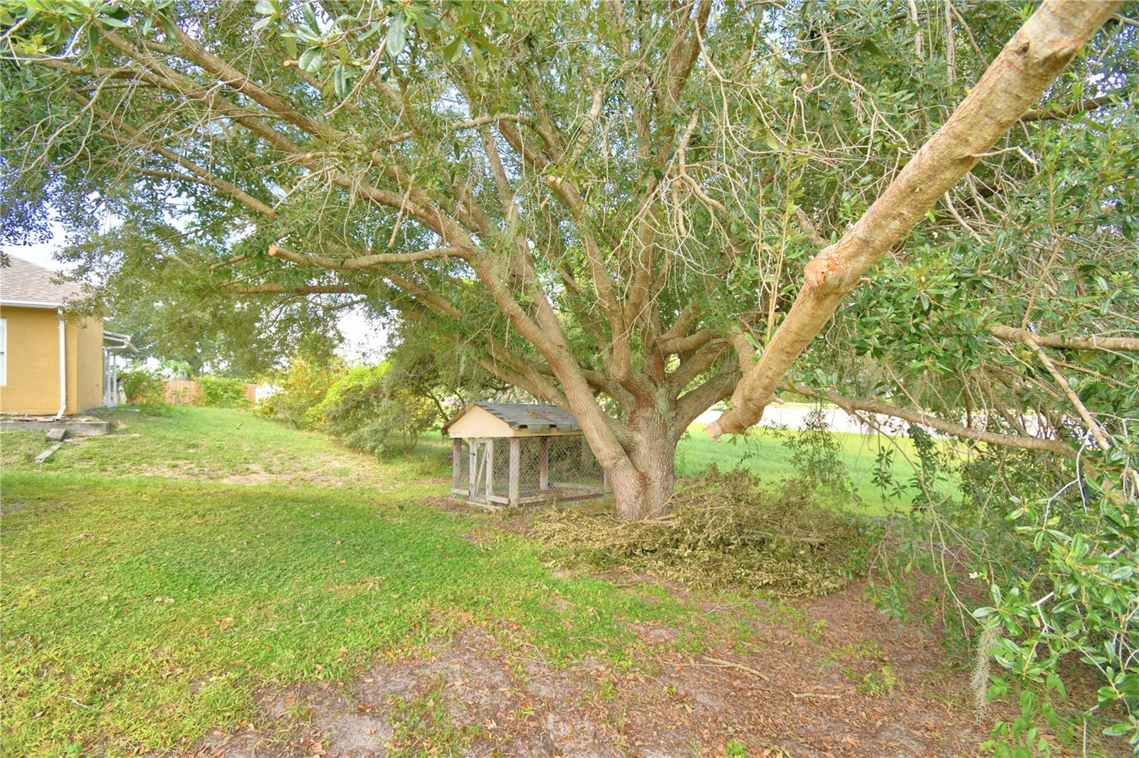 223 GROUPER CT, POINCIANA, FL, 34759