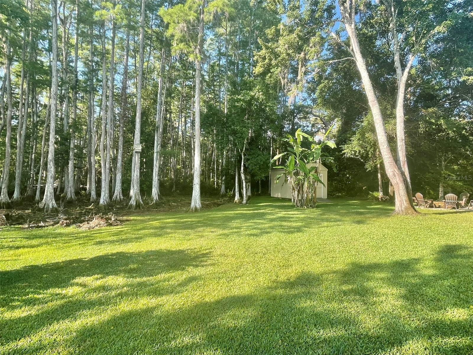 10852 PANICUM CT, NEW PORT RICHEY, FL, 34655