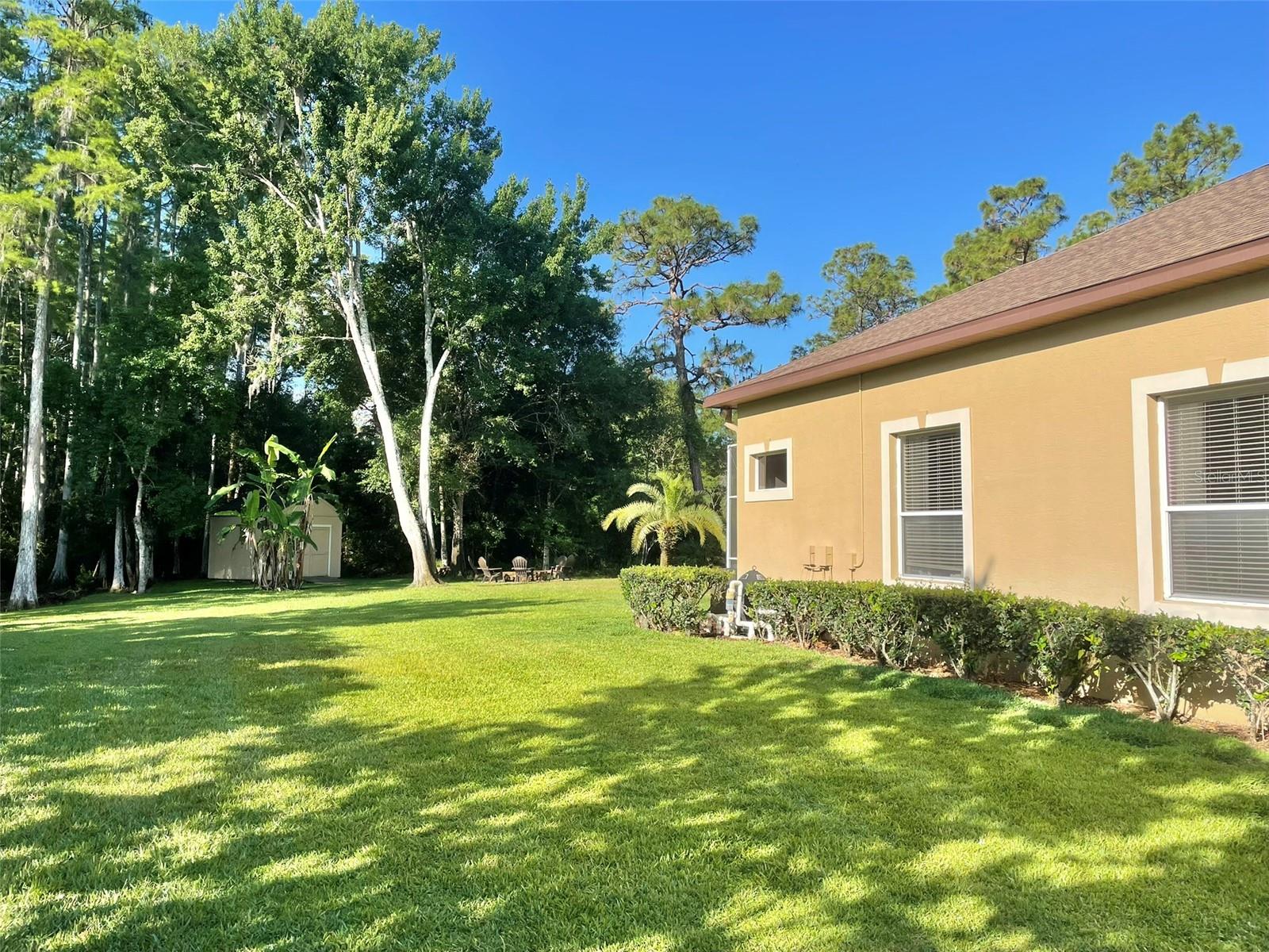10852 PANICUM CT, NEW PORT RICHEY, FL, 34655