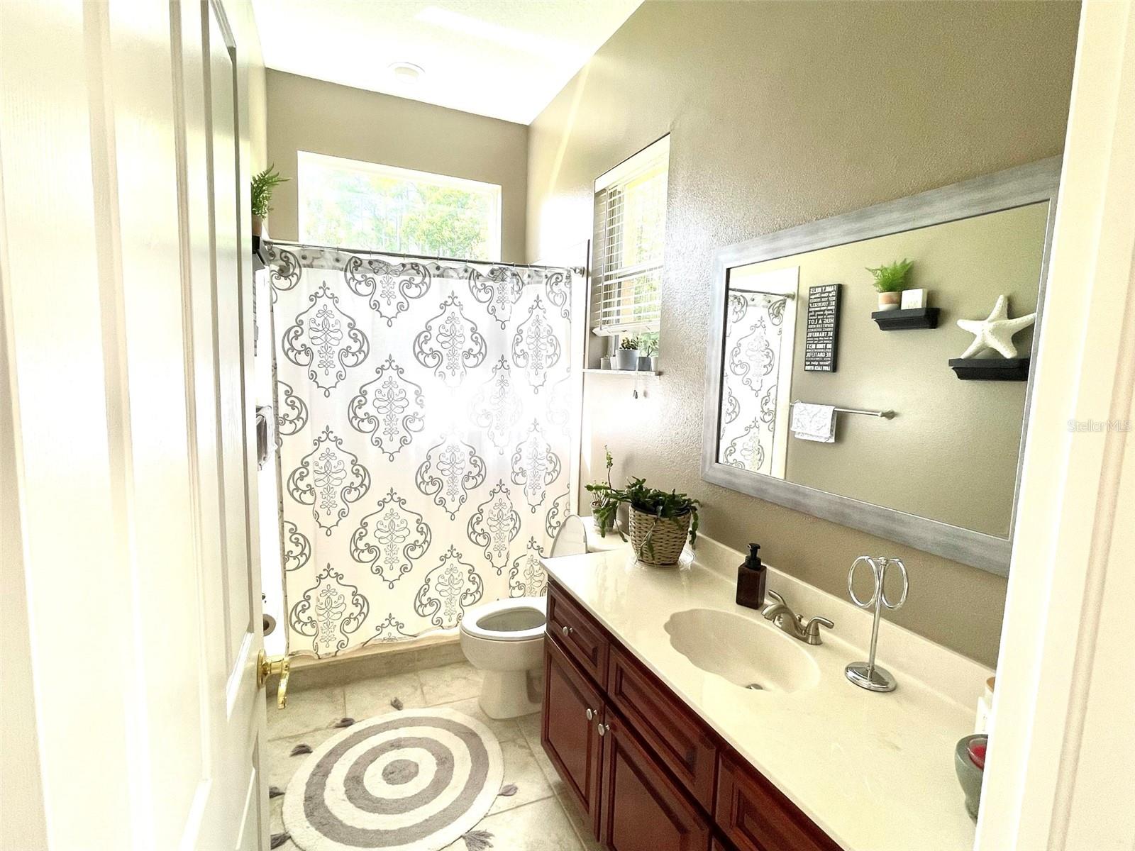 10852 PANICUM CT, NEW PORT RICHEY, FL, 34655