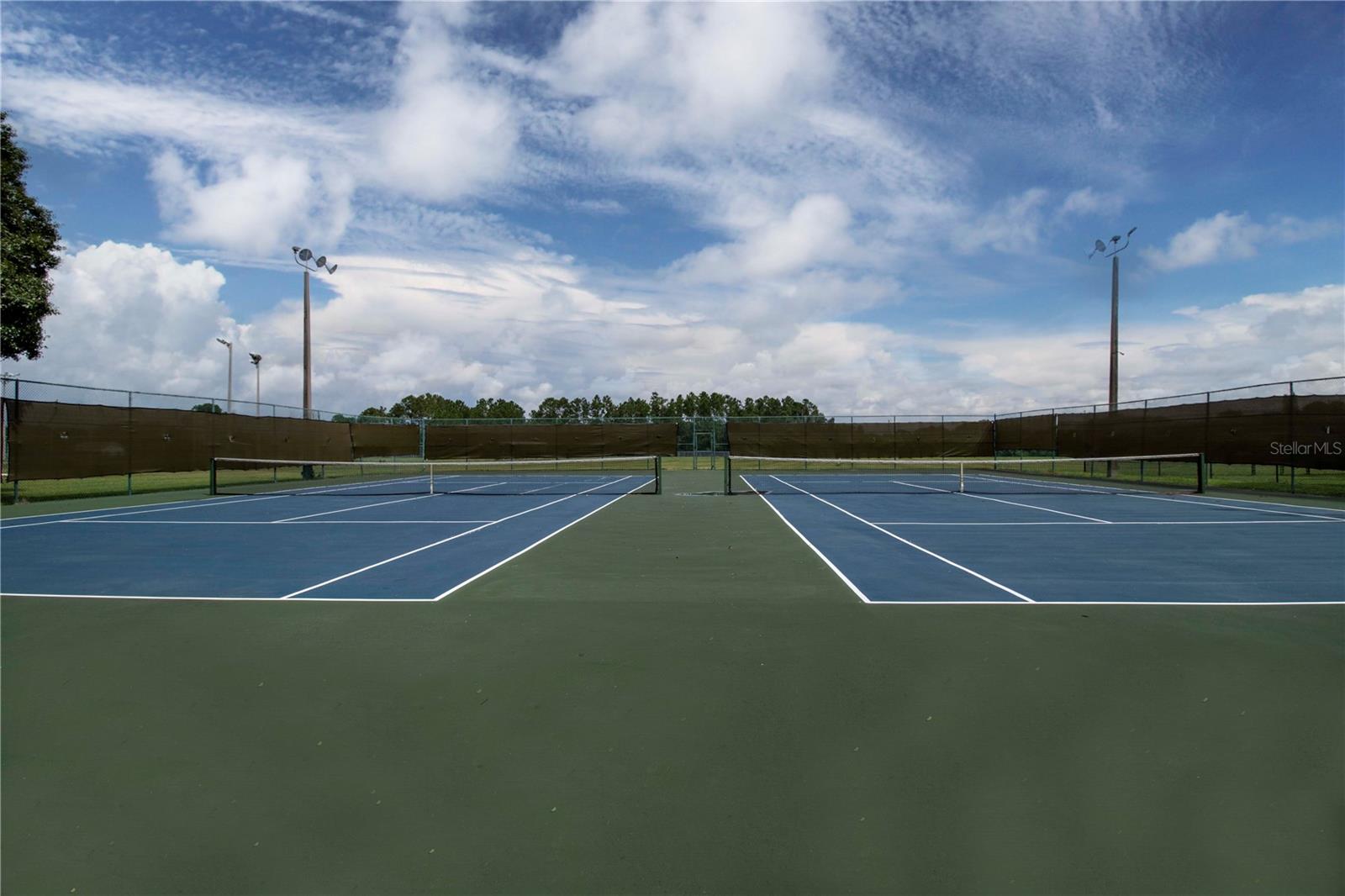 11330 VILLAS ON THE GREEN DR, RIVERVIEW, FL, 33579