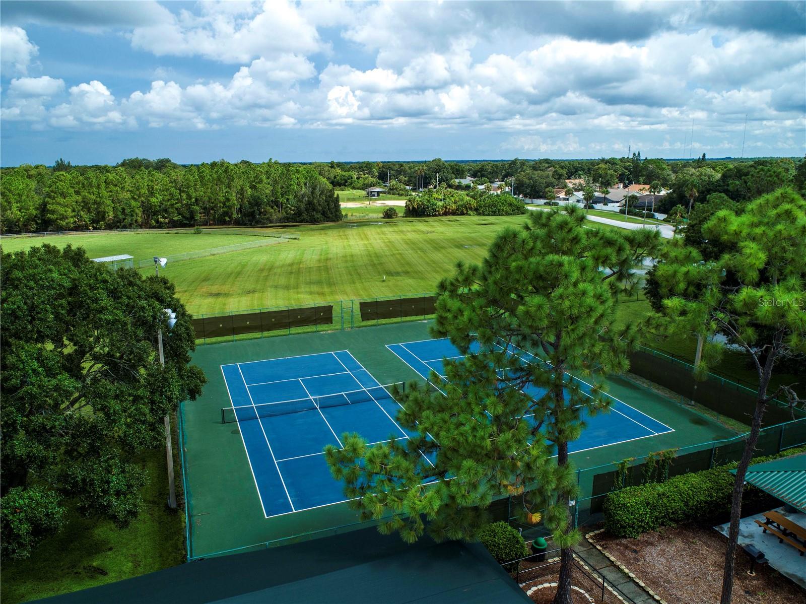 11330 VILLAS ON THE GREEN DR, RIVERVIEW, FL, 33579