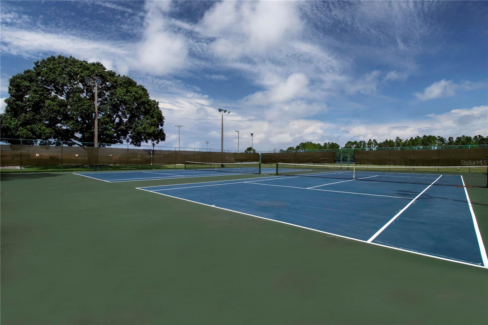 11330 VILLAS ON THE GREEN DR, RIVERVIEW, FL, 33579