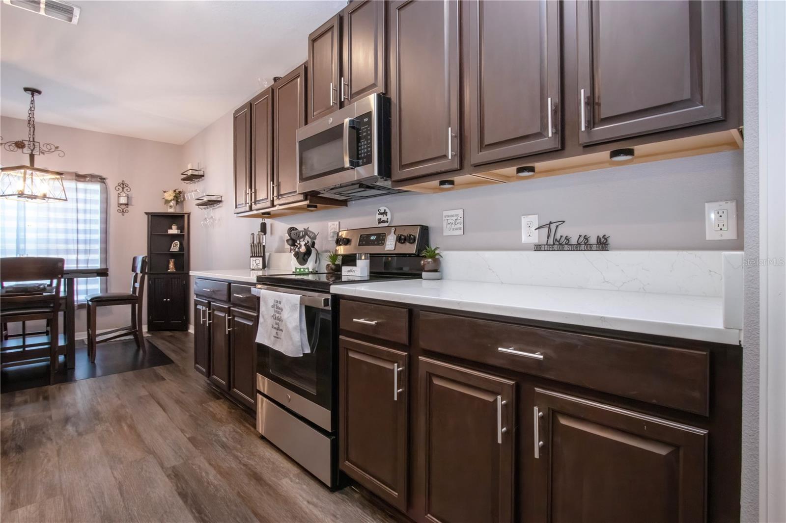 11330 VILLAS ON THE GREEN DR, RIVERVIEW, FL, 33579