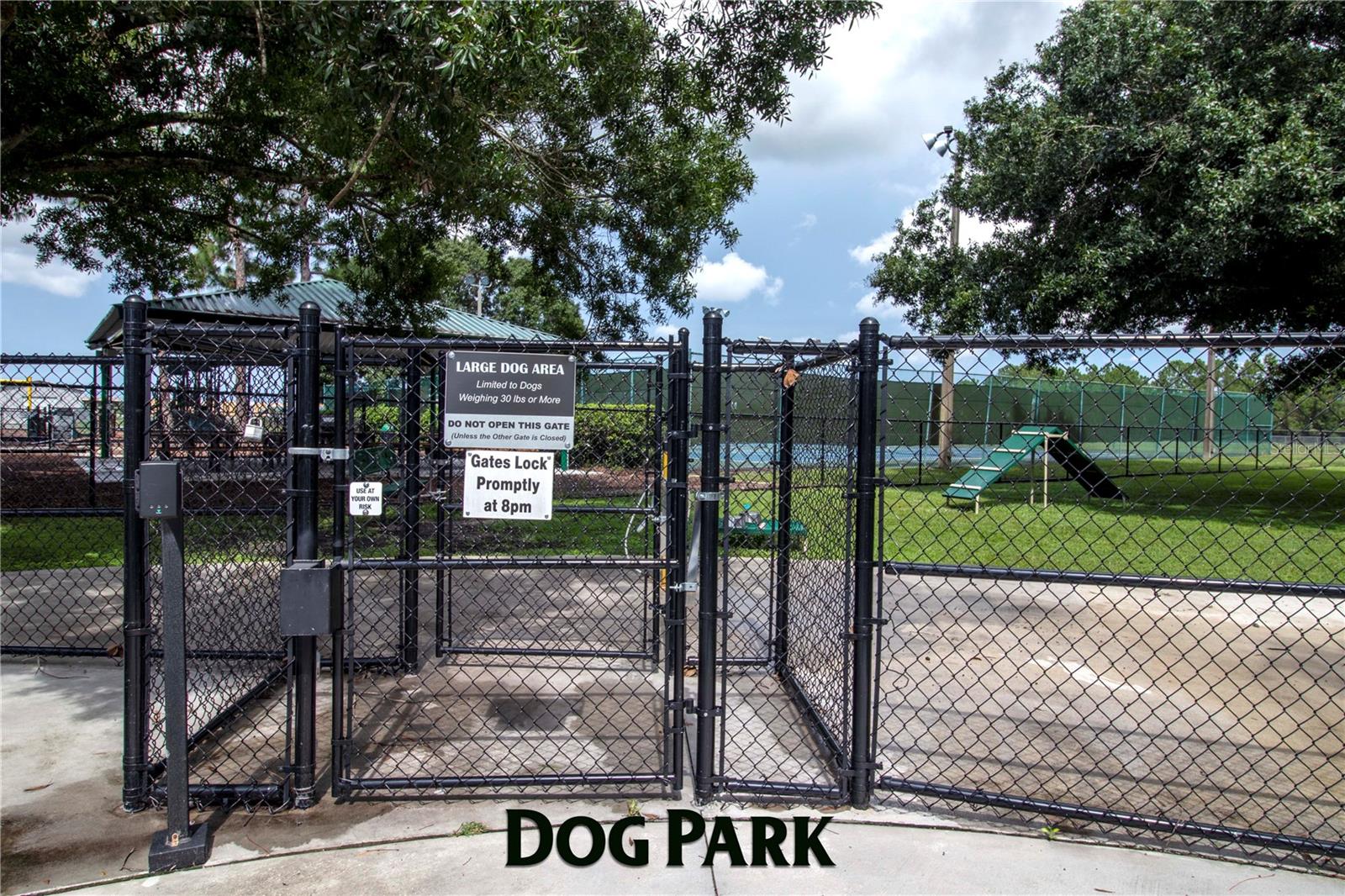 11330 VILLAS ON THE GREEN DR, RIVERVIEW, FL, 33579