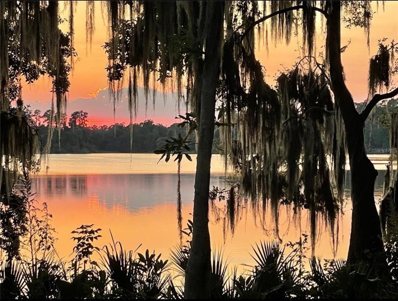 2708 SW 14TH DR #220, GAINESVILLE, FL, 32608