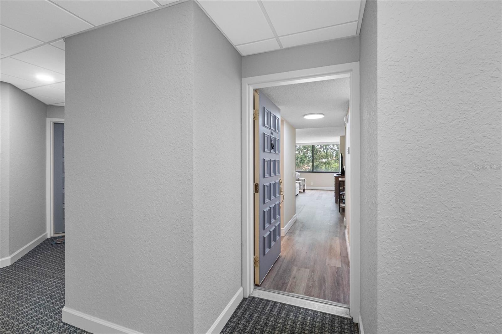 6158 PALMA DEL MAR BLVD S #305, ST PETERSBURG, FL, 33715