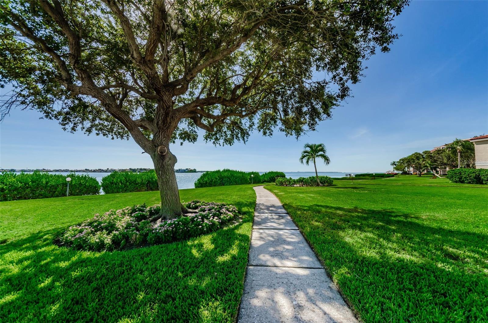 6158 PALMA DEL MAR BLVD S #305, ST PETERSBURG, FL, 33715