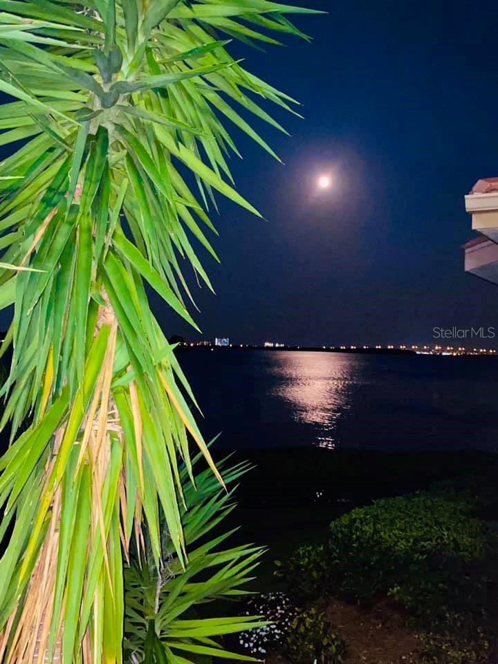 6158 PALMA DEL MAR BLVD S #305, ST PETERSBURG, FL, 33715