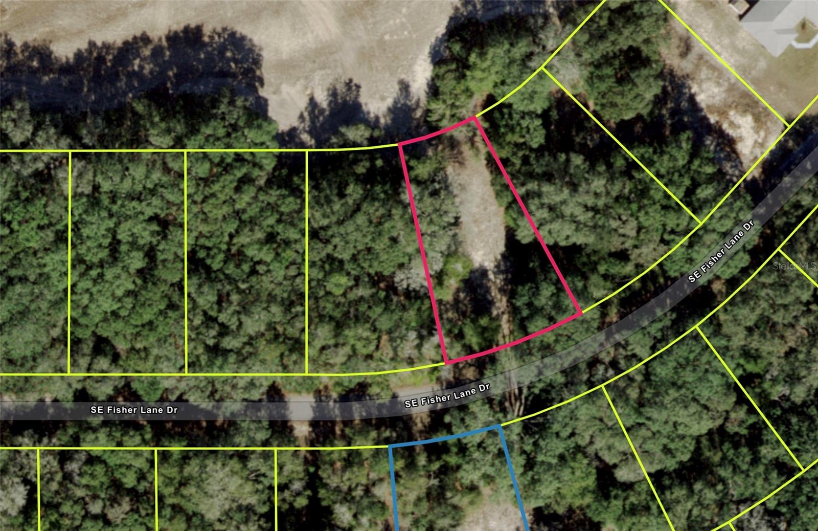 SE FISHER LANE DR, OCKLAWAHA, FL, 32179