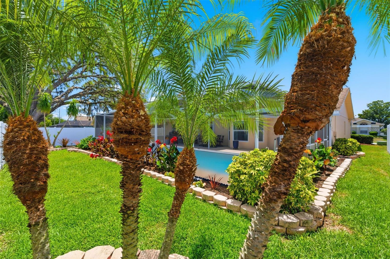 5408 SALTAMONTE DR, NEW PORT RICHEY, FL, 34655