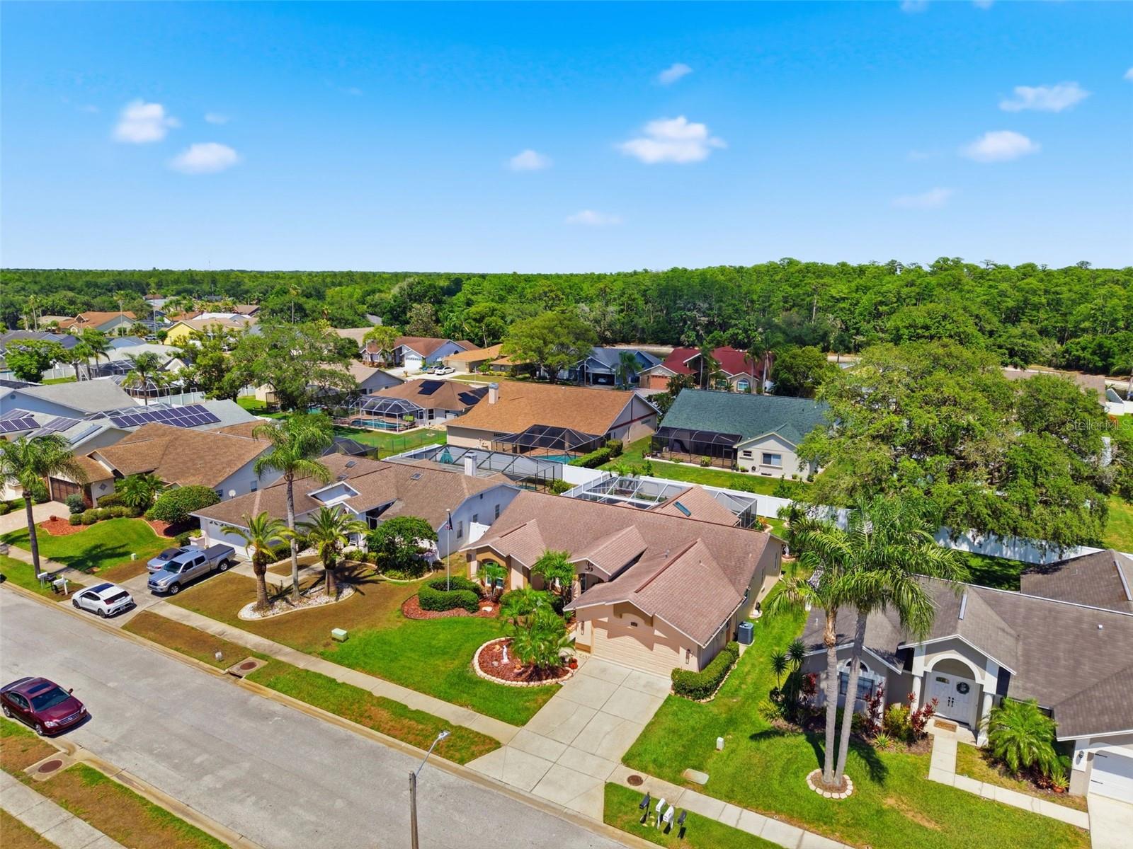 5408 SALTAMONTE DR, NEW PORT RICHEY, FL, 34655