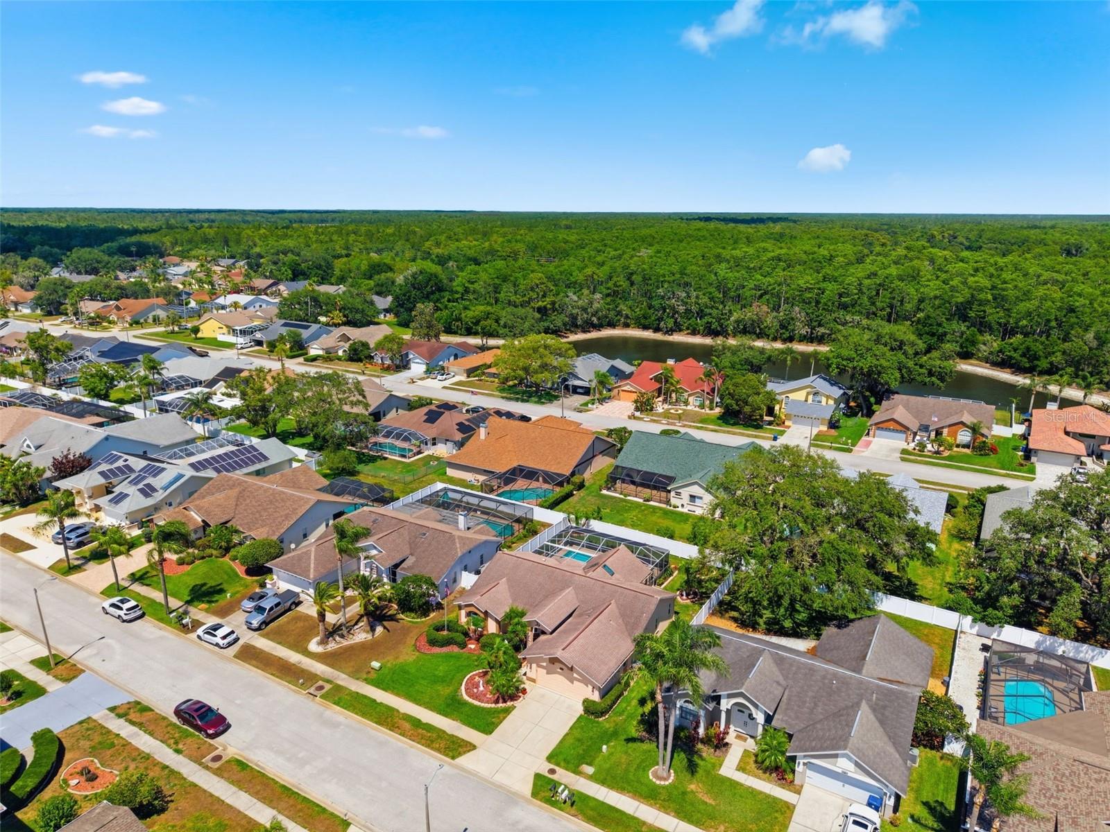 5408 SALTAMONTE DR, NEW PORT RICHEY, FL, 34655