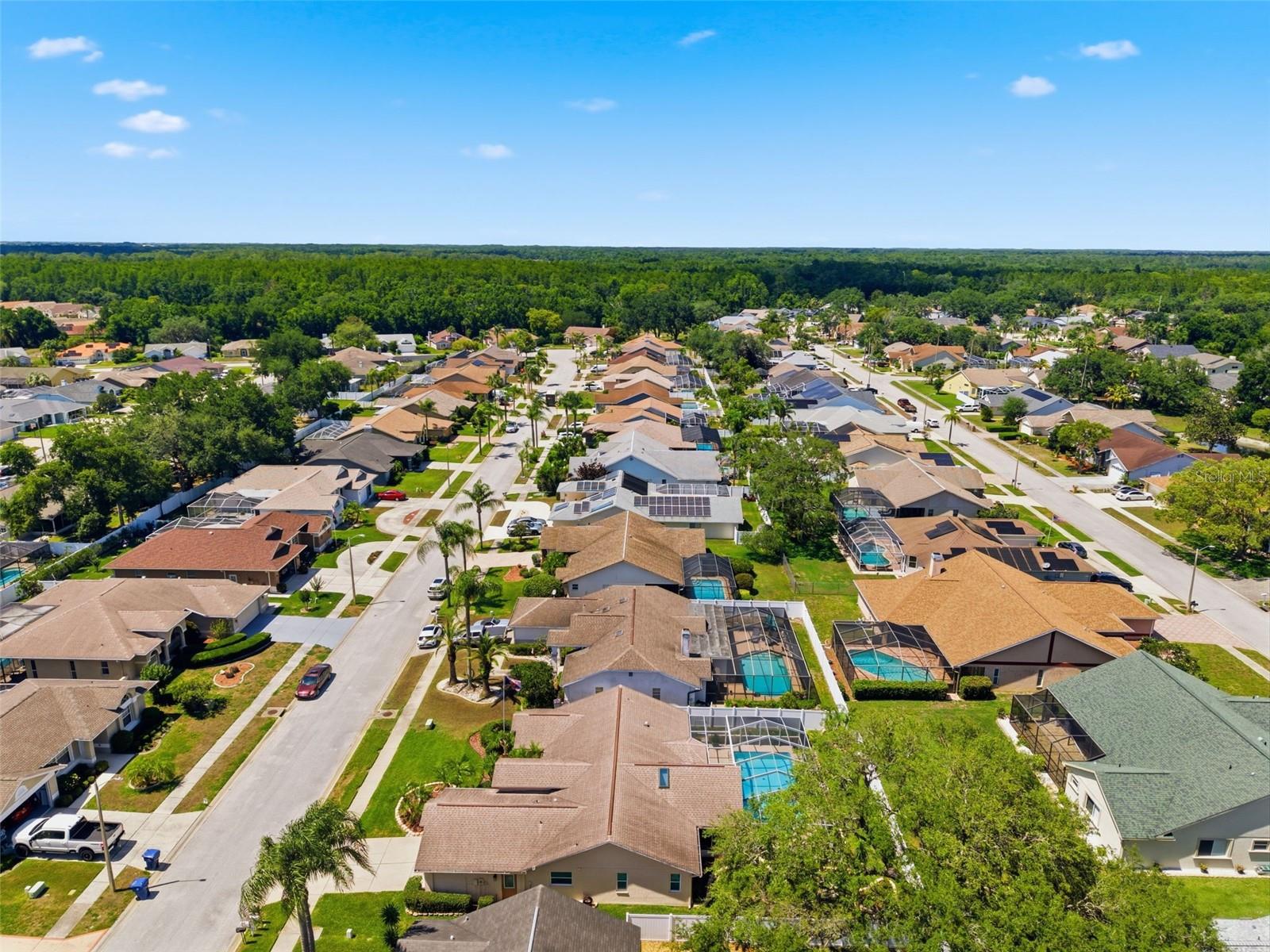 5408 SALTAMONTE DR, NEW PORT RICHEY, FL, 34655