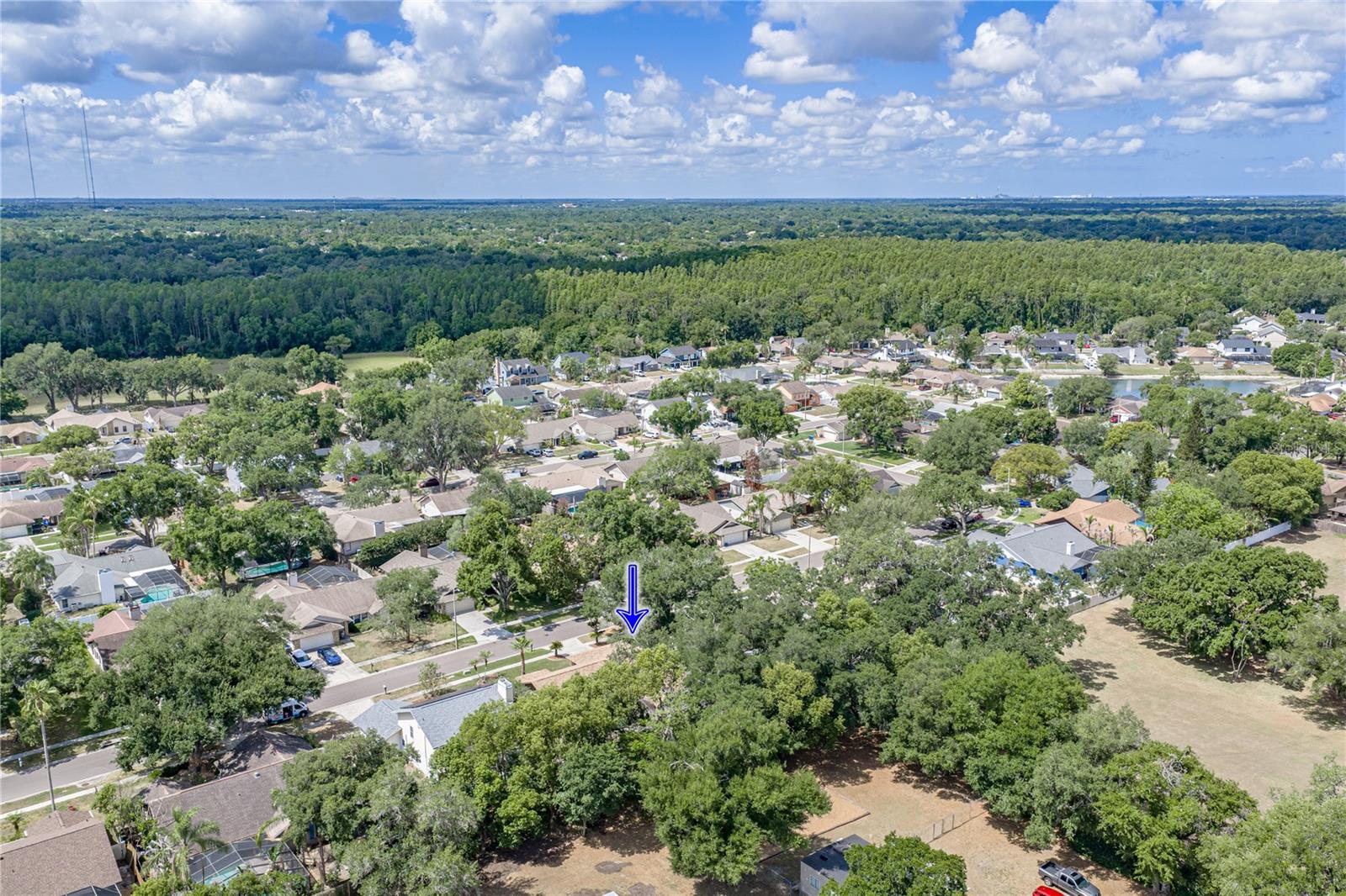 1737 SHADY LEAF DR, VALRICO, FL, 33596
