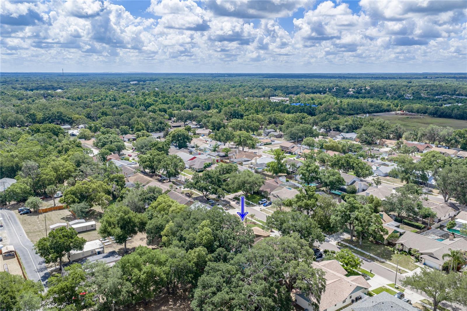 1737 SHADY LEAF DR, VALRICO, FL, 33596