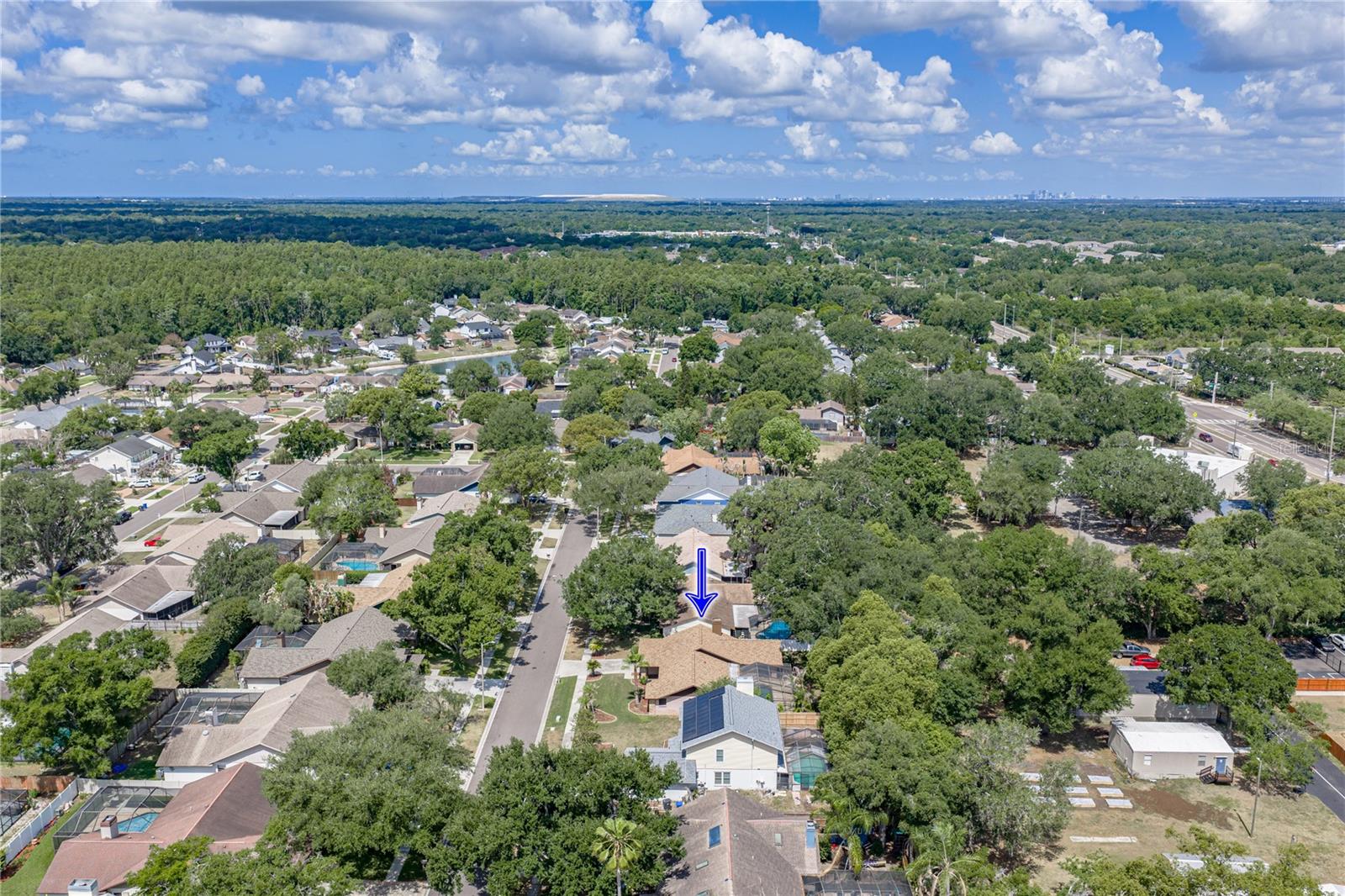 1737 SHADY LEAF DR, VALRICO, FL, 33596