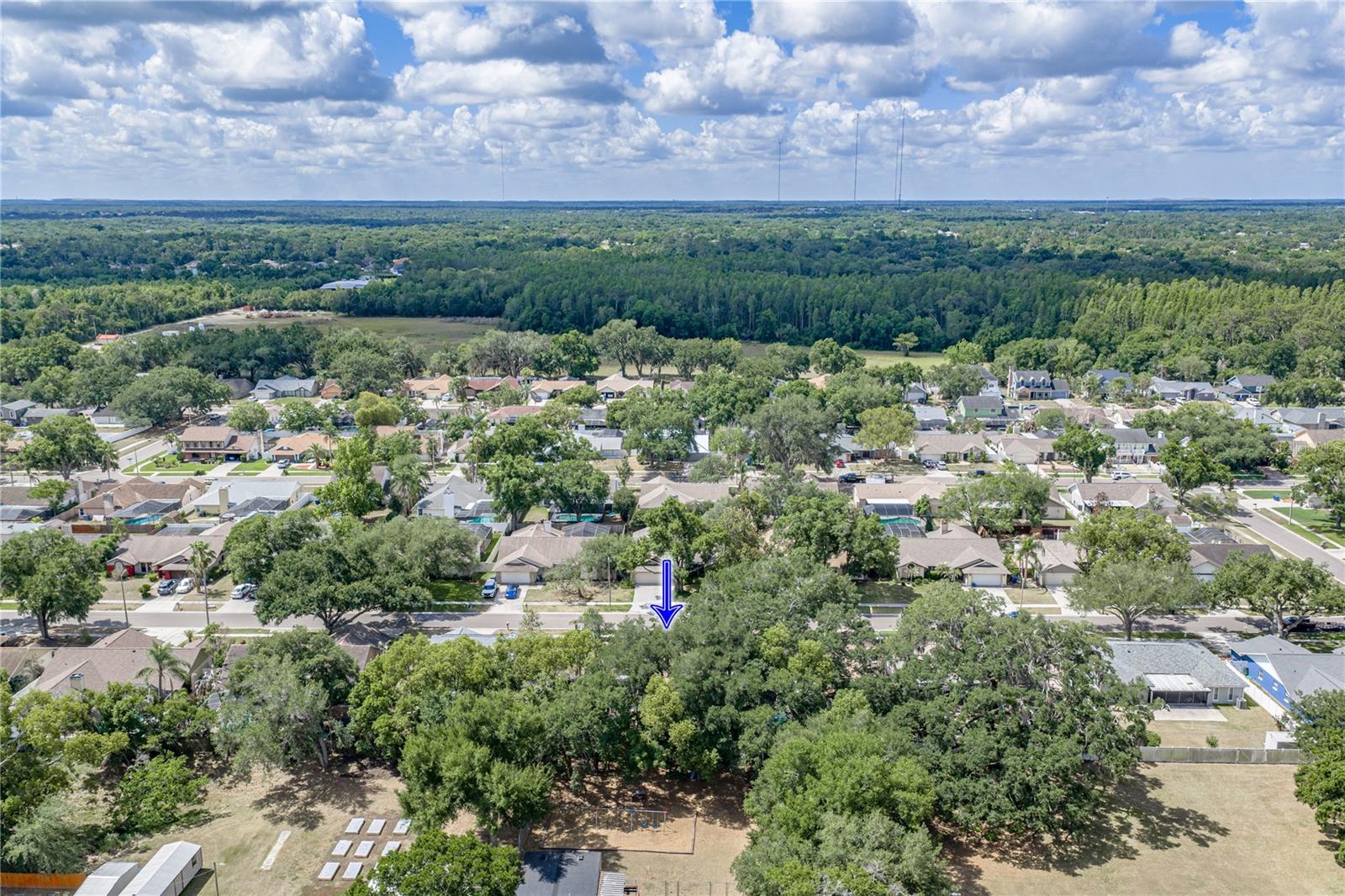 1737 SHADY LEAF DR, VALRICO, FL, 33596