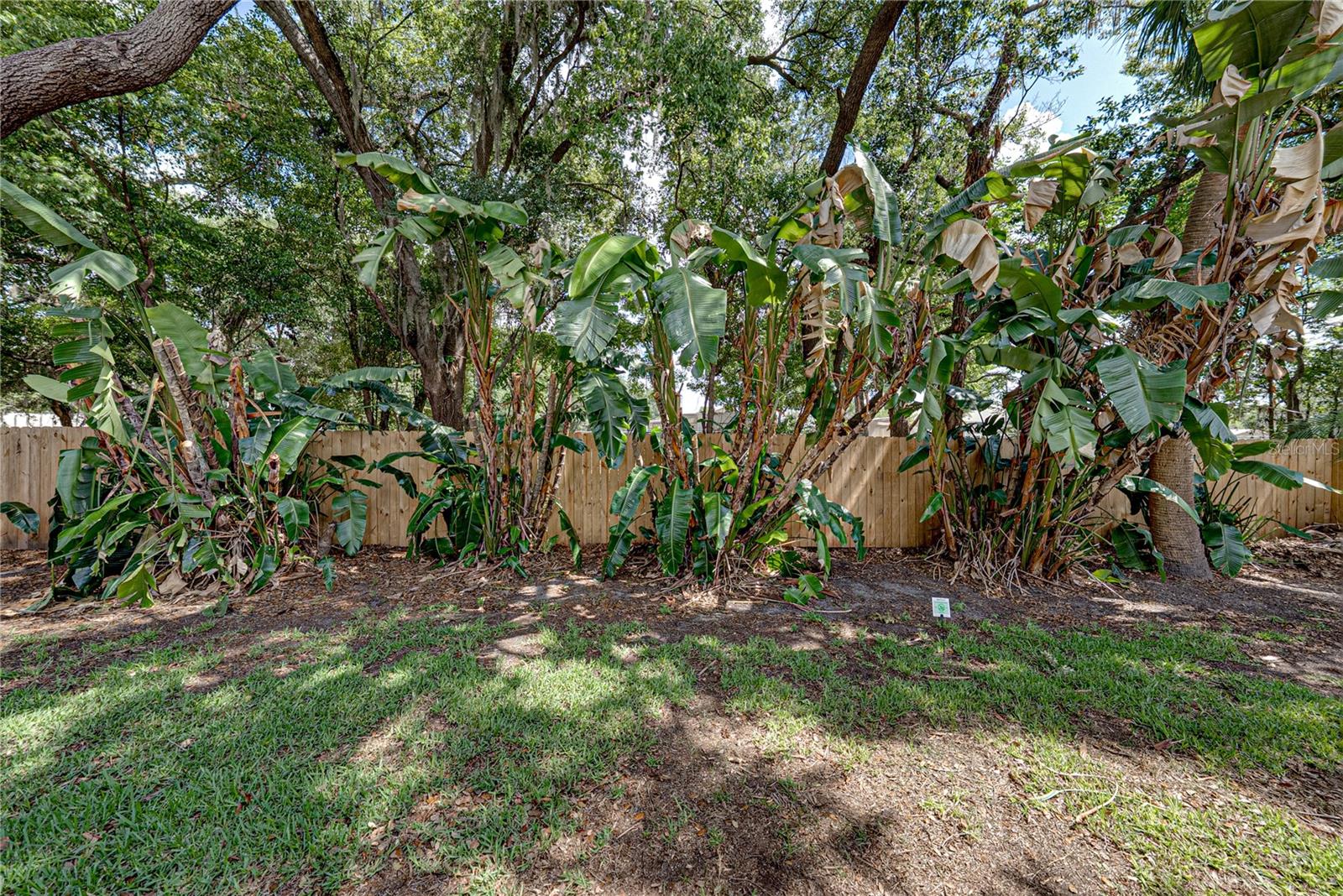 1737 SHADY LEAF DR, VALRICO, FL, 33596