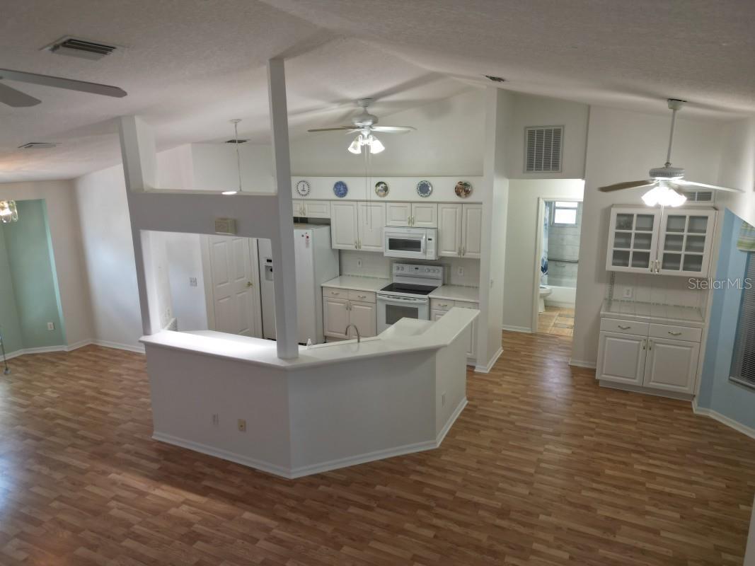 12125 KNOTTY PINE LOOP, SAN ANTONIO, FL, 33576