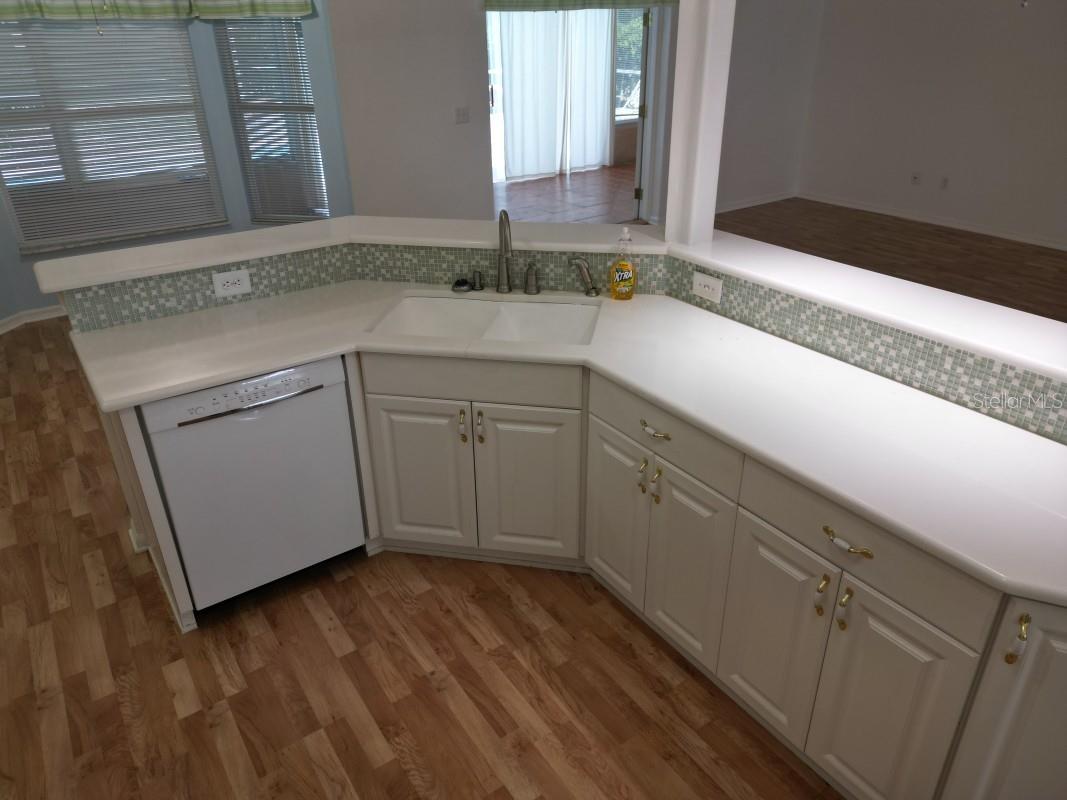 12125 KNOTTY PINE LOOP, SAN ANTONIO, FL, 33576