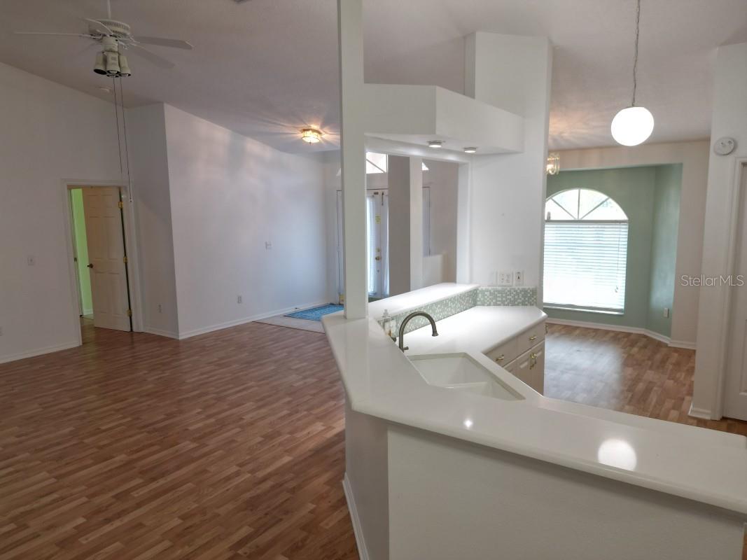 12125 KNOTTY PINE LOOP, SAN ANTONIO, FL, 33576