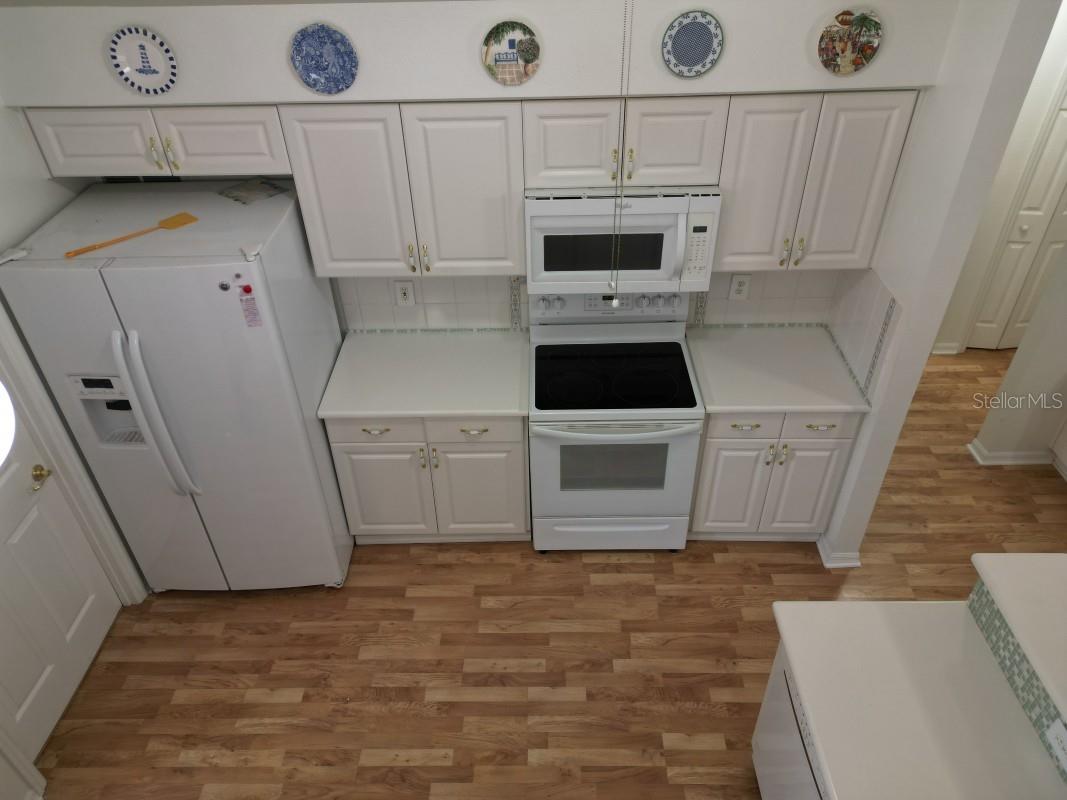 12125 KNOTTY PINE LOOP, SAN ANTONIO, FL, 33576