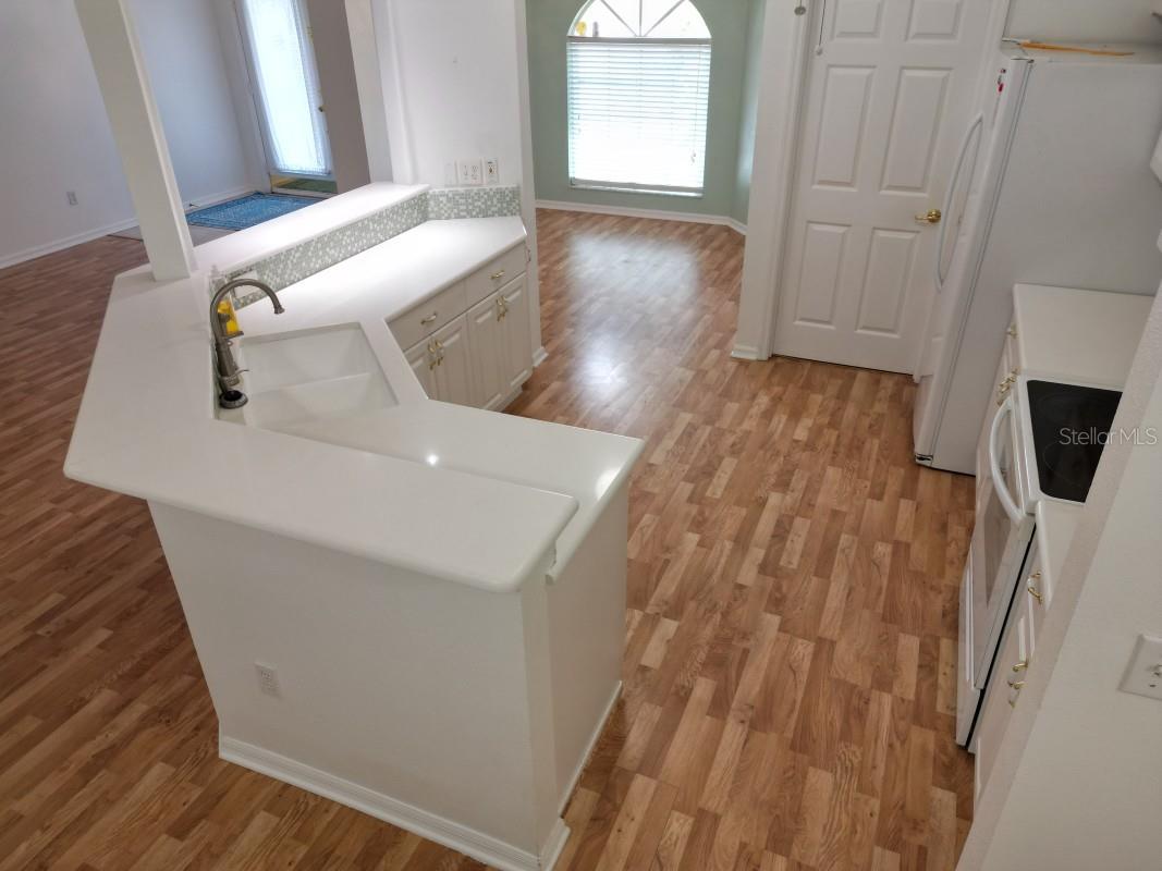 12125 KNOTTY PINE LOOP, SAN ANTONIO, FL, 33576
