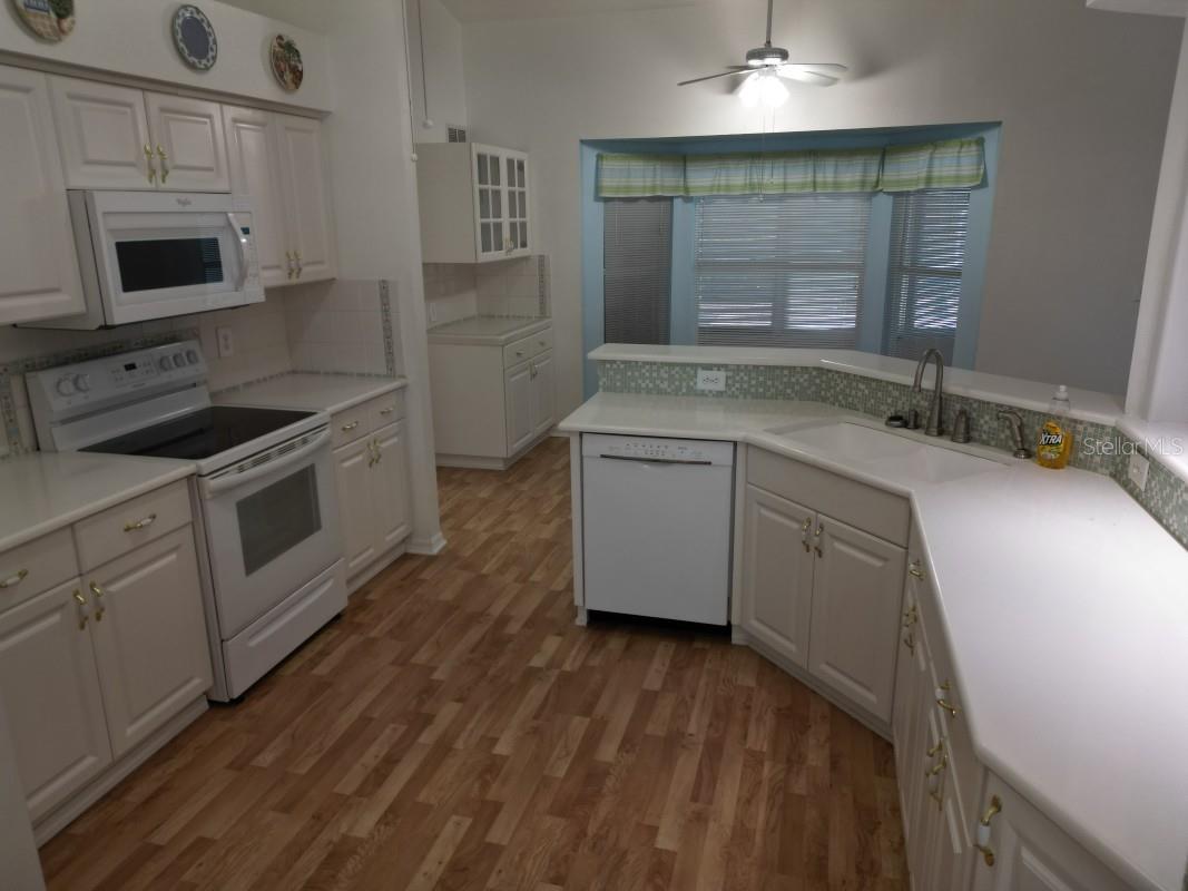 12125 KNOTTY PINE LOOP, SAN ANTONIO, FL, 33576