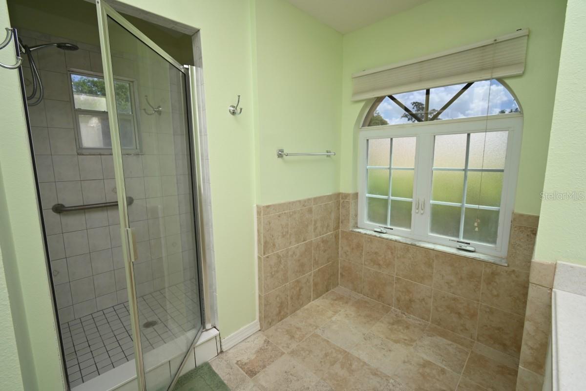 12125 KNOTTY PINE LOOP, SAN ANTONIO, FL, 33576