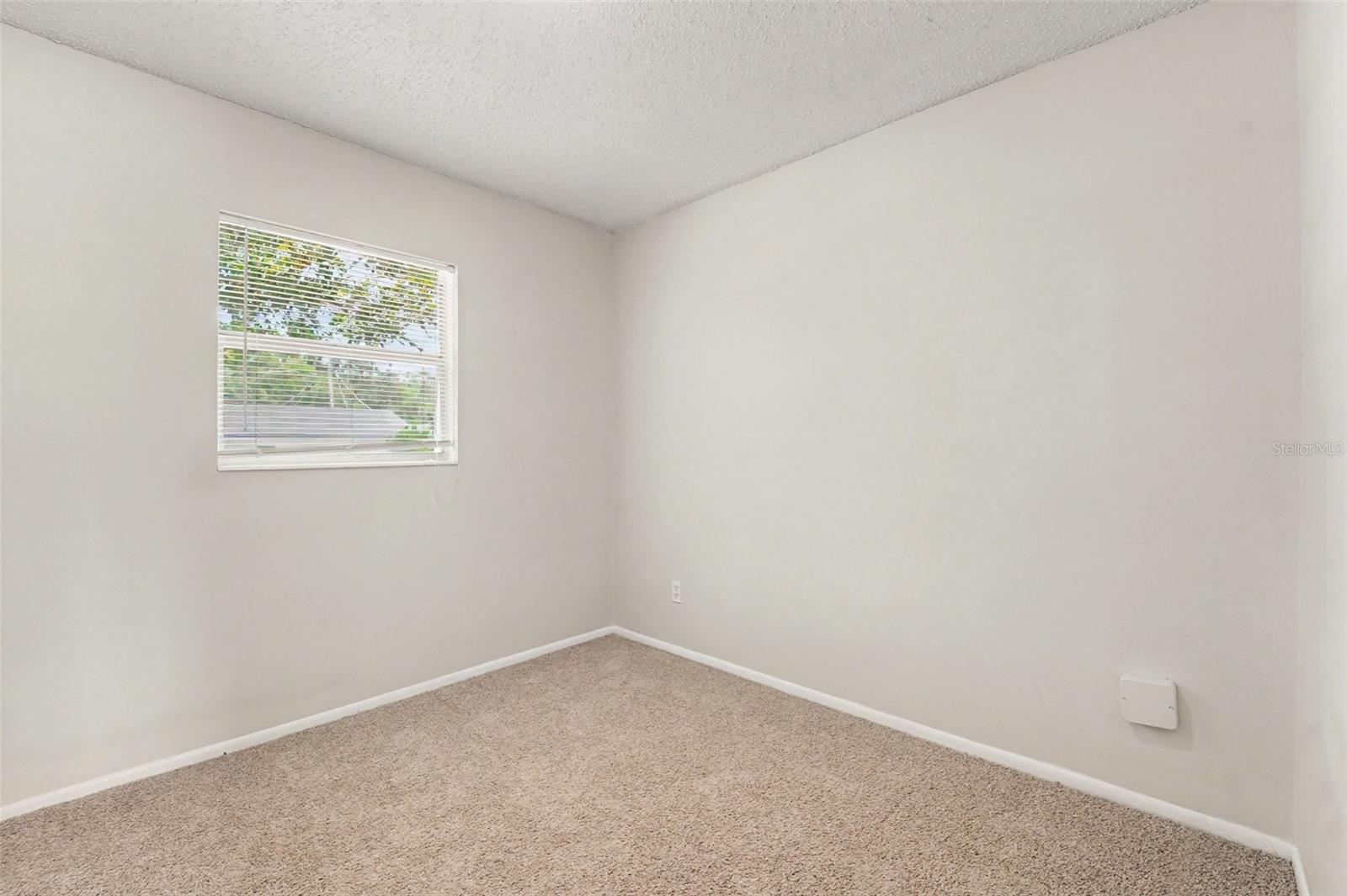 8308 OLEANDER LN, TAMPA, FL, 33637