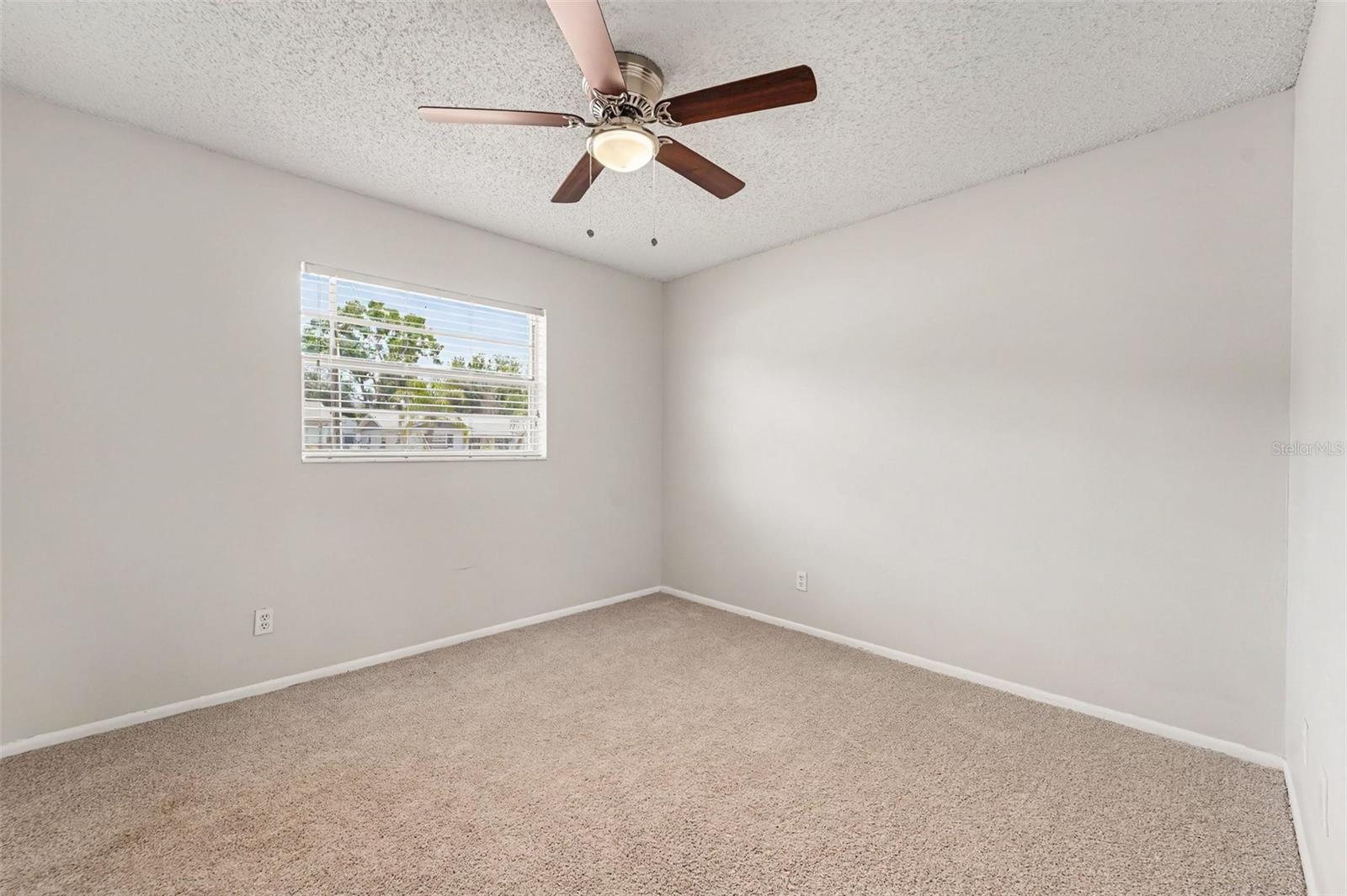 8308 OLEANDER LN, TAMPA, FL, 33637