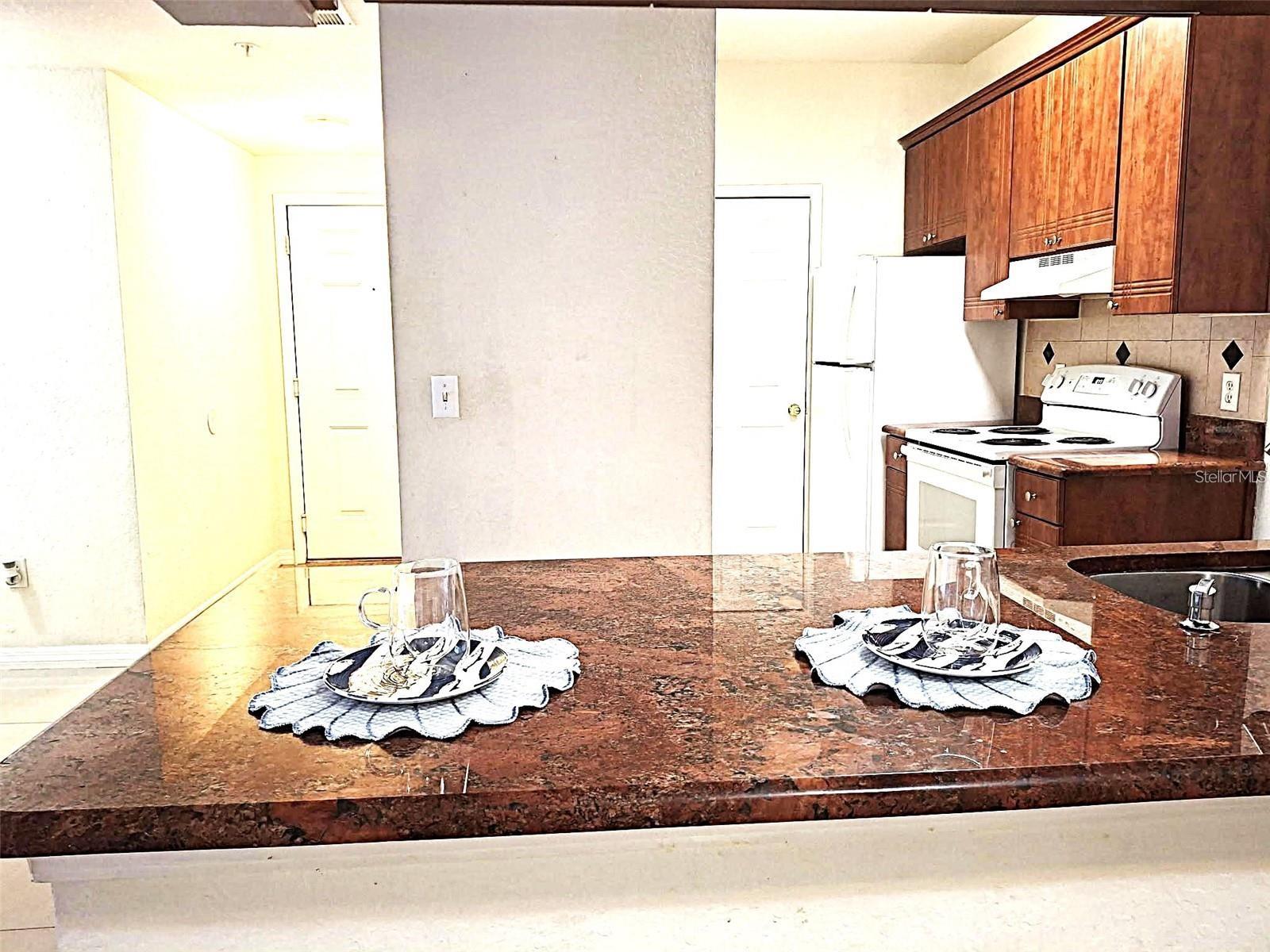 13304 SANCTUARY CV #303, TAMPA, FL, 33637