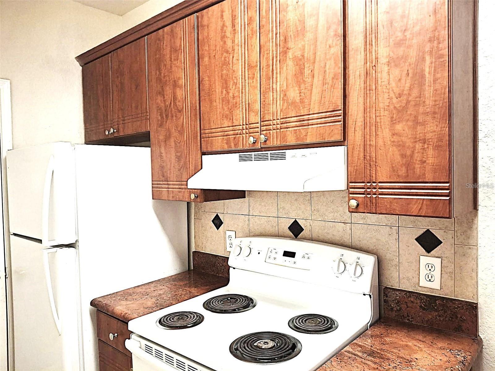 13304 SANCTUARY CV #303, TAMPA, FL, 33637