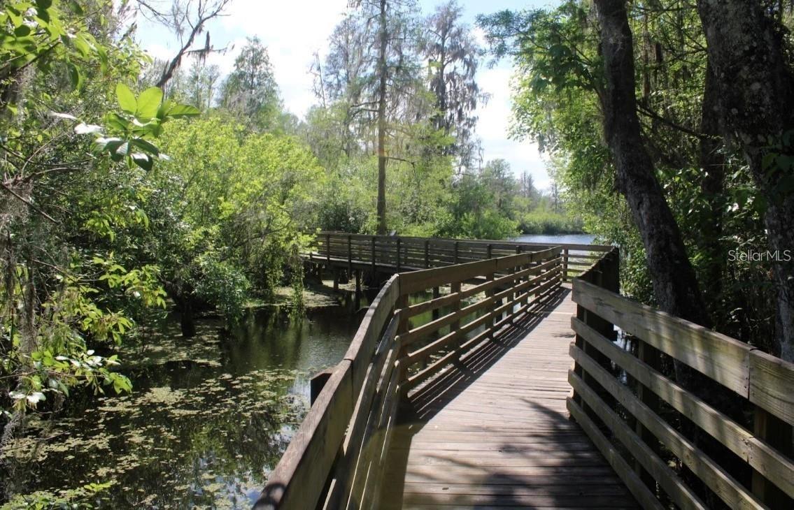 13304 SANCTUARY CV #303, TAMPA, FL, 33637