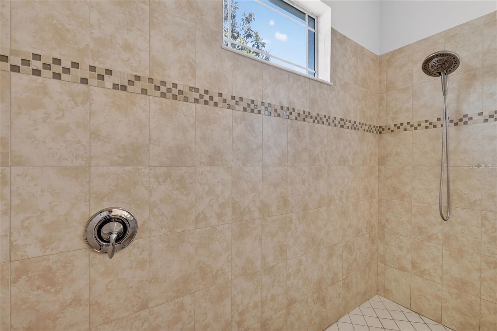 8237 BRIDGEPORT BAY CIR, MOUNT DORA, FL, 32757