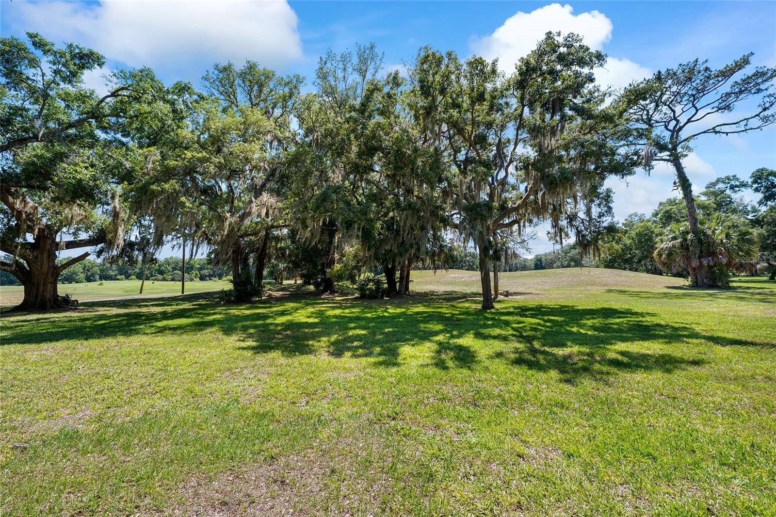 749 MIDWAY DR #A, OCALA, FL, 34472