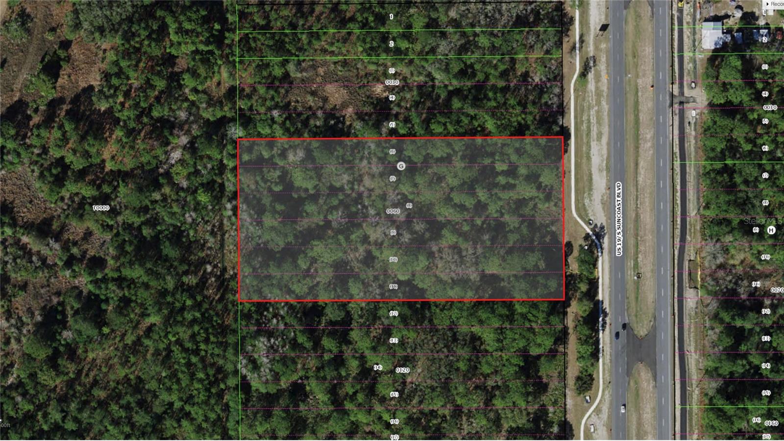 9054 S SUNCOAST BLVD, HOMOSASSA, FL, 34446